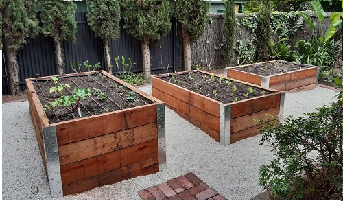 Newly installed vegetable garden in Allenby Adelaide